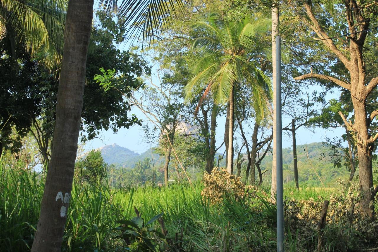 Sigiriya Hillside View Villa ภายนอก รูปภาพ