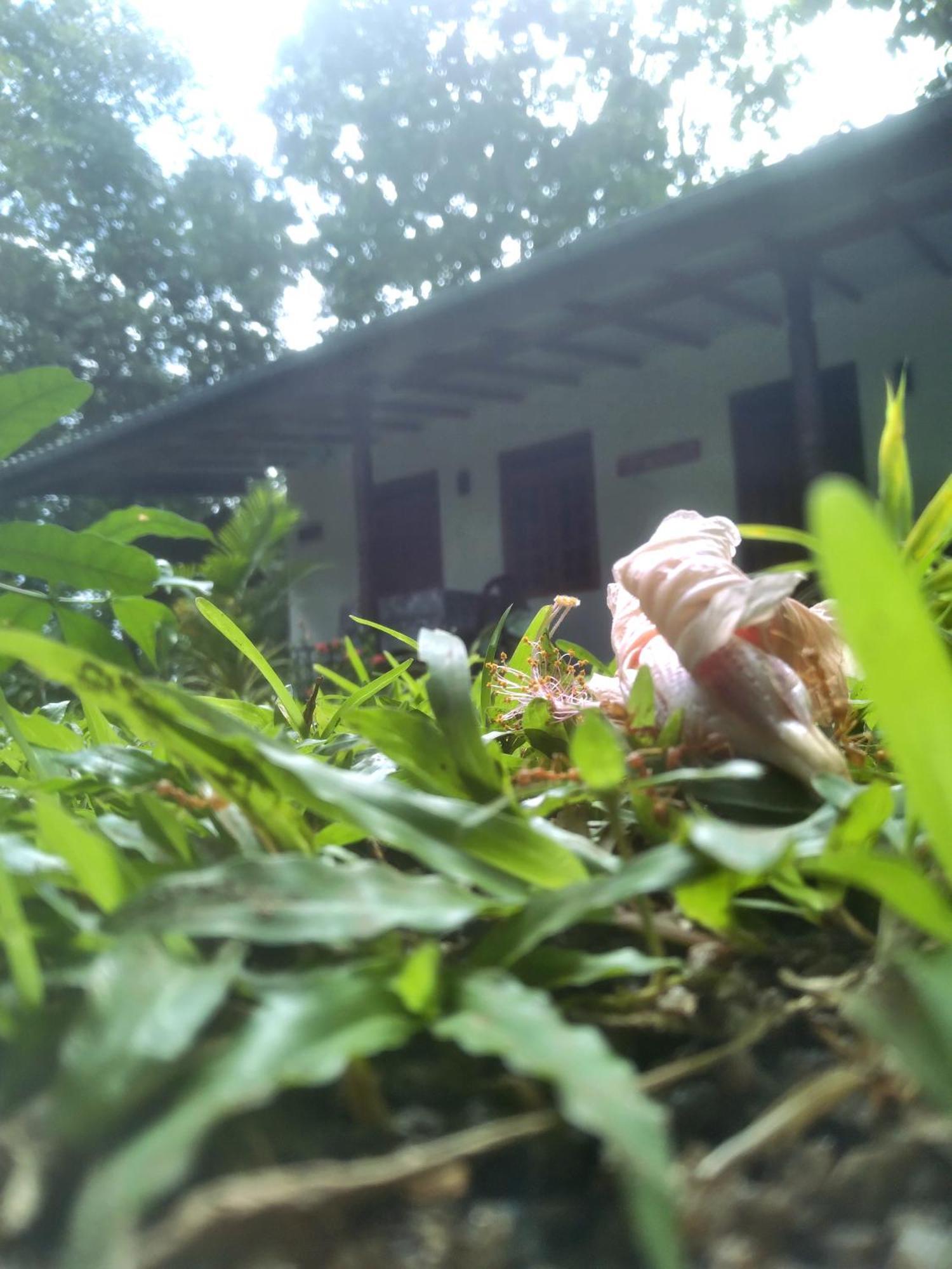 Sigiriya Hillside View Villa ภายนอก รูปภาพ