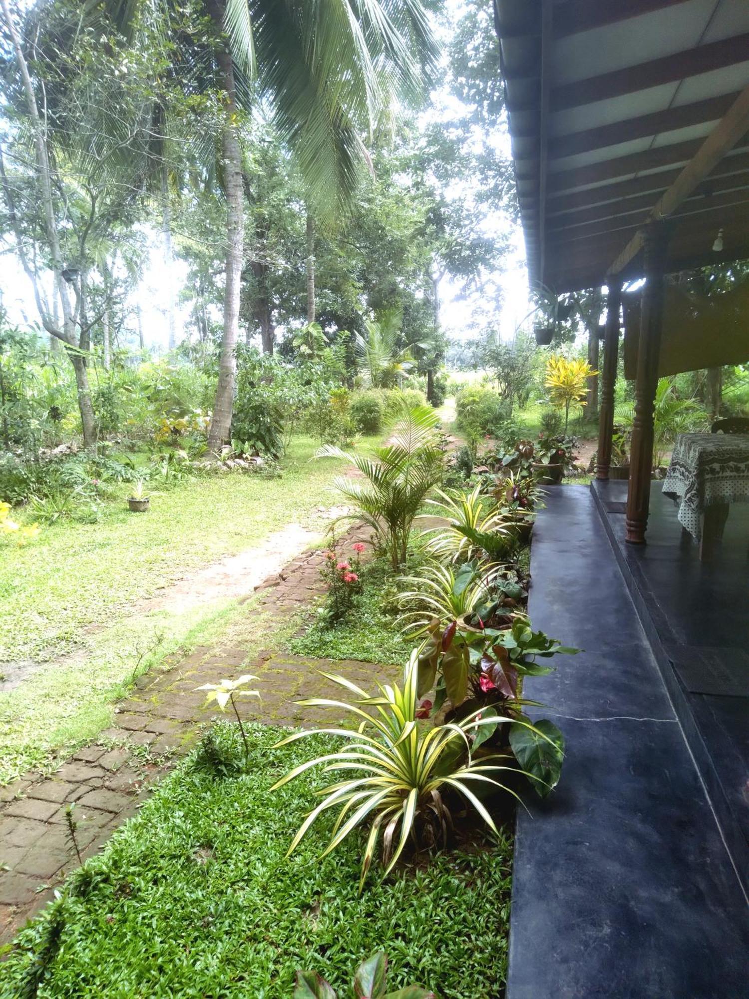 Sigiriya Hillside View Villa ภายนอก รูปภาพ